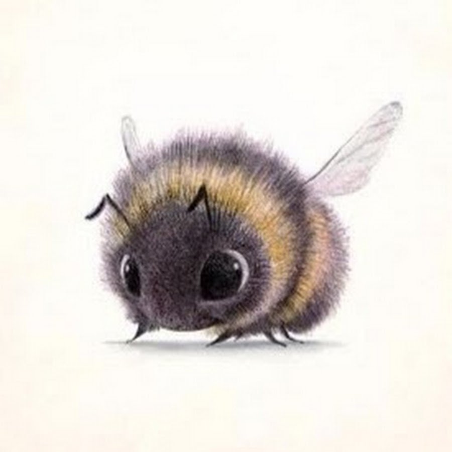 Сердечко Шмель арт