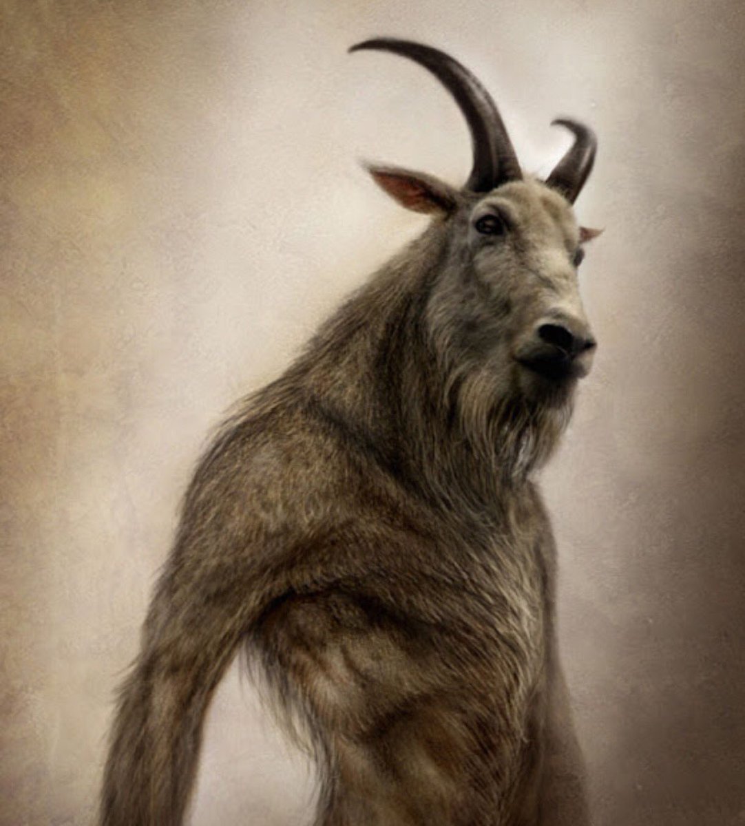 Принс Джорджес человек козел