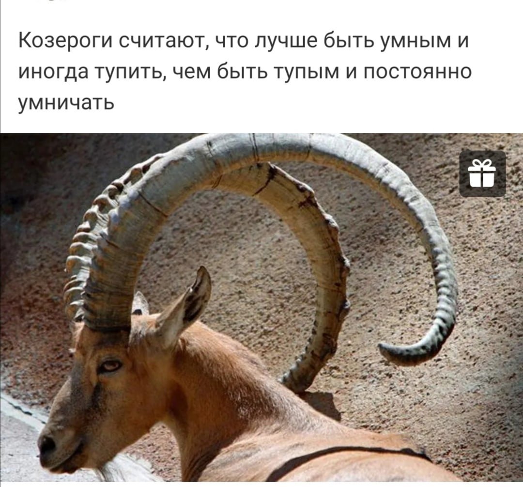 Нубийский Козерог