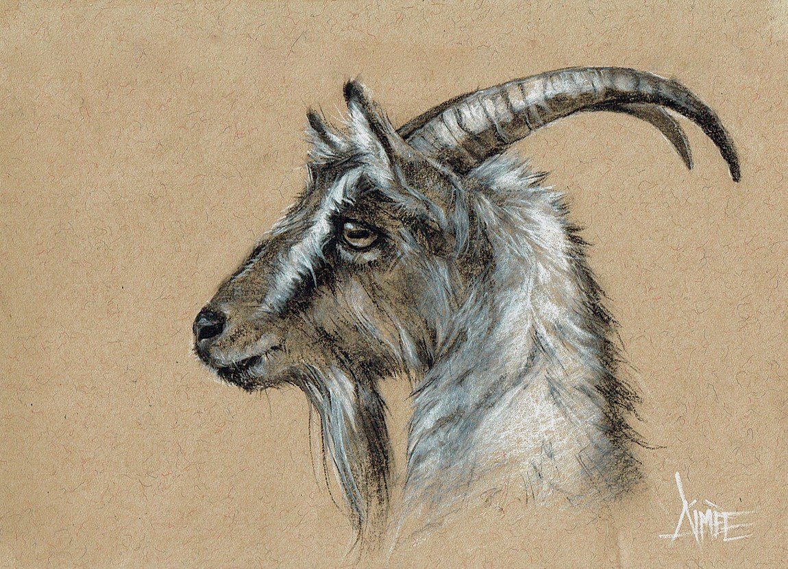 Древние козы