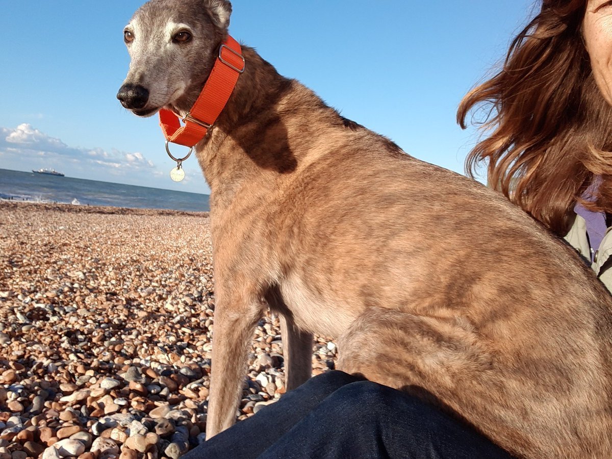 Алина Лерчер