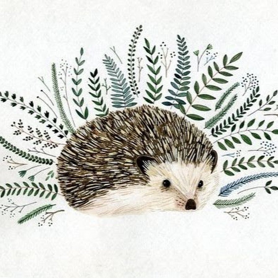 Ёжик УГАРНЫЙ В колпаке