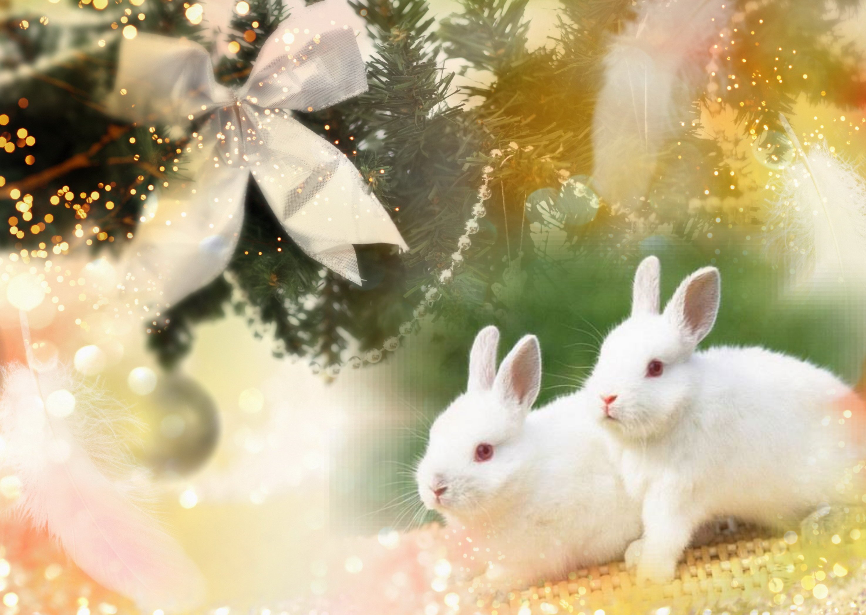Год кролика хороший. Новогодний кролик. Новогодний заяц. Кролик новый год. Красивый новогодний кролик.