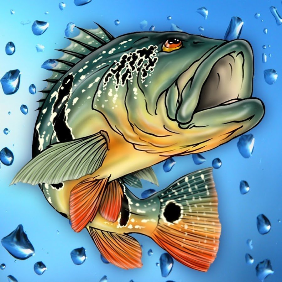 Обои на телефон рыбы