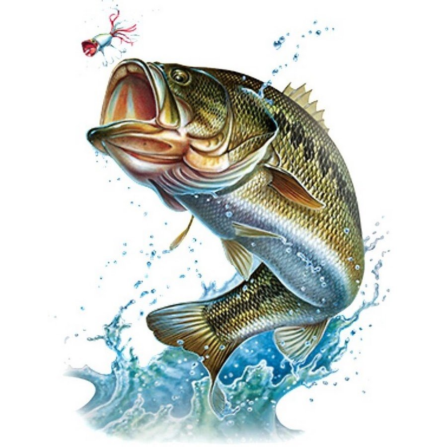 Рыба выпрыгивает из воды рисунок
