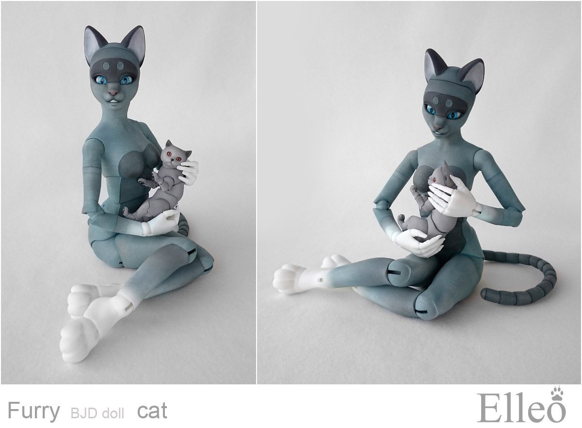 Рэгдолл бирманская Невская