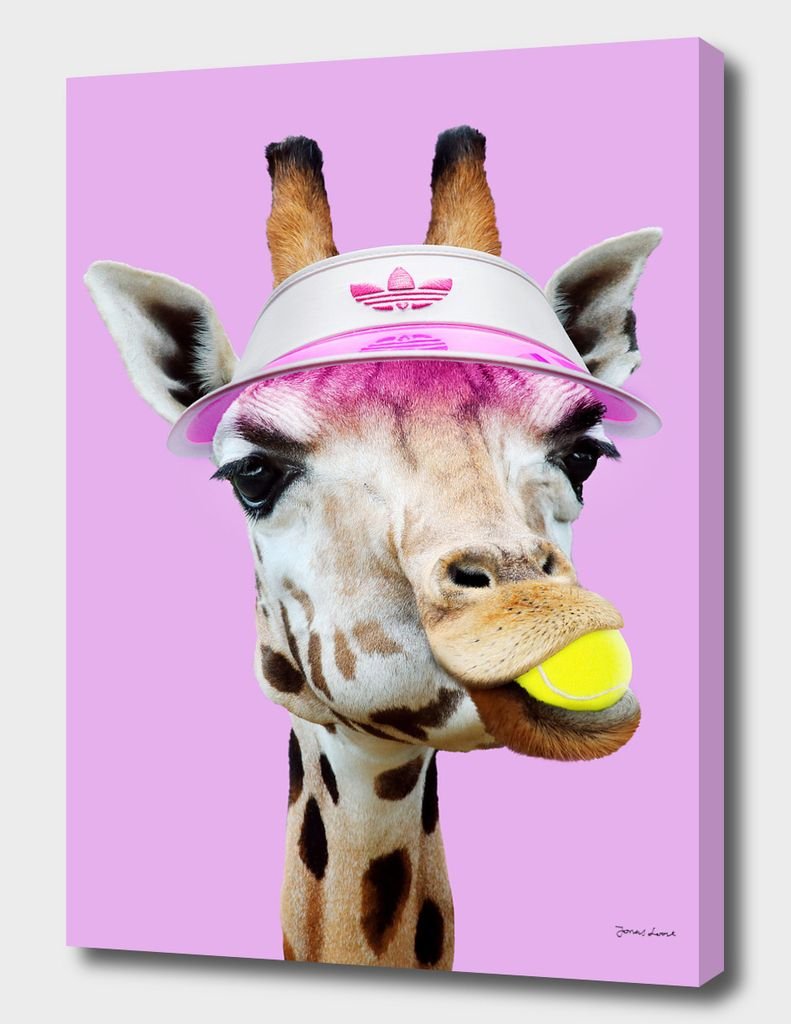 Модные Жирафы