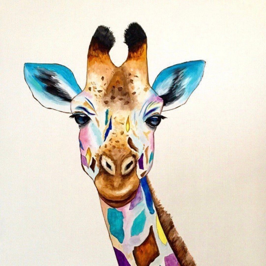 Жираф акварель