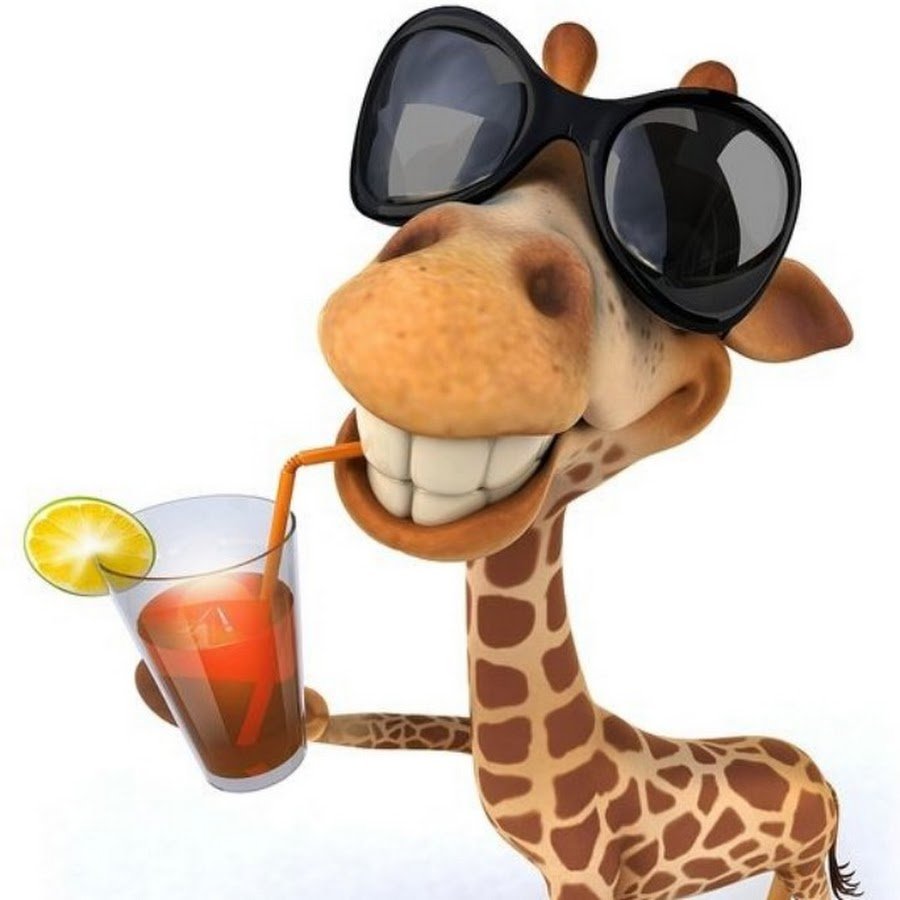 Жирафик в очках