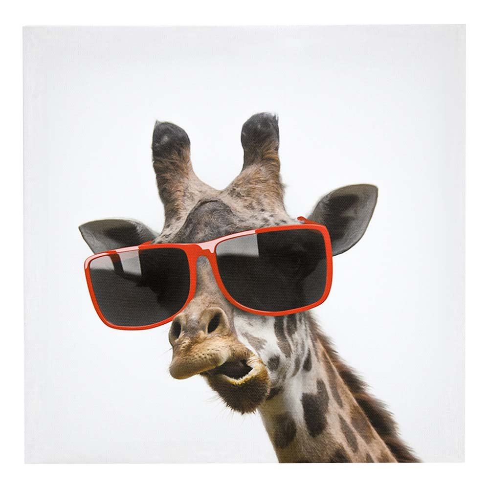 Три жирафа в очках