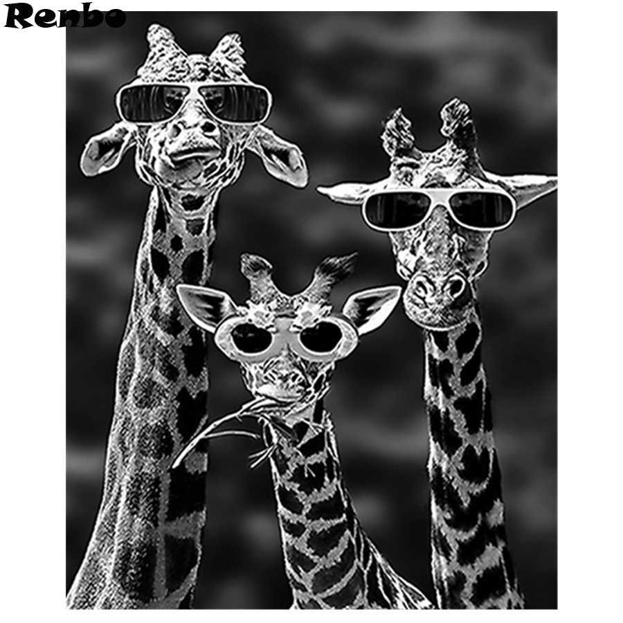 Три жирафа в очках