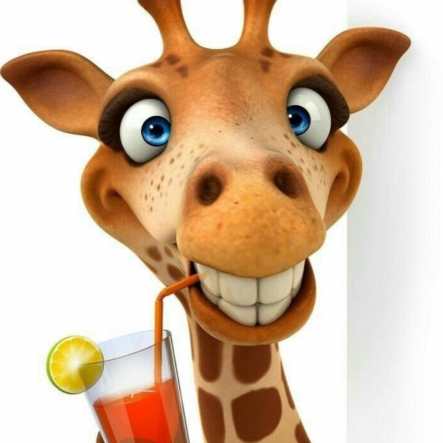 Жирафик улыбается