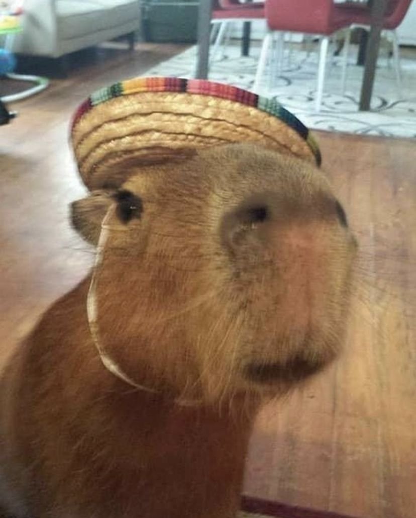 Капибара татарин