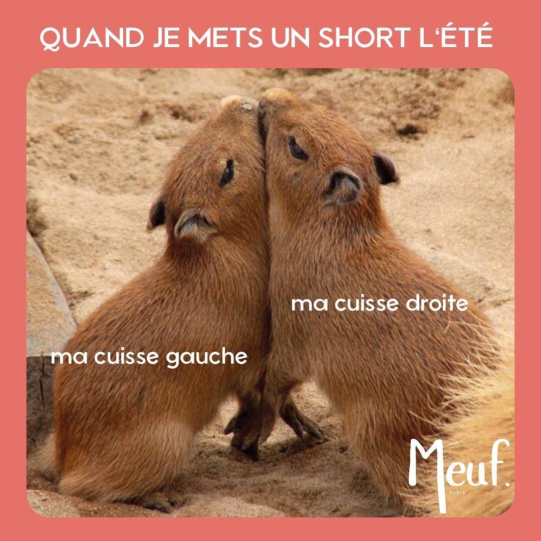 Капибара улыбается