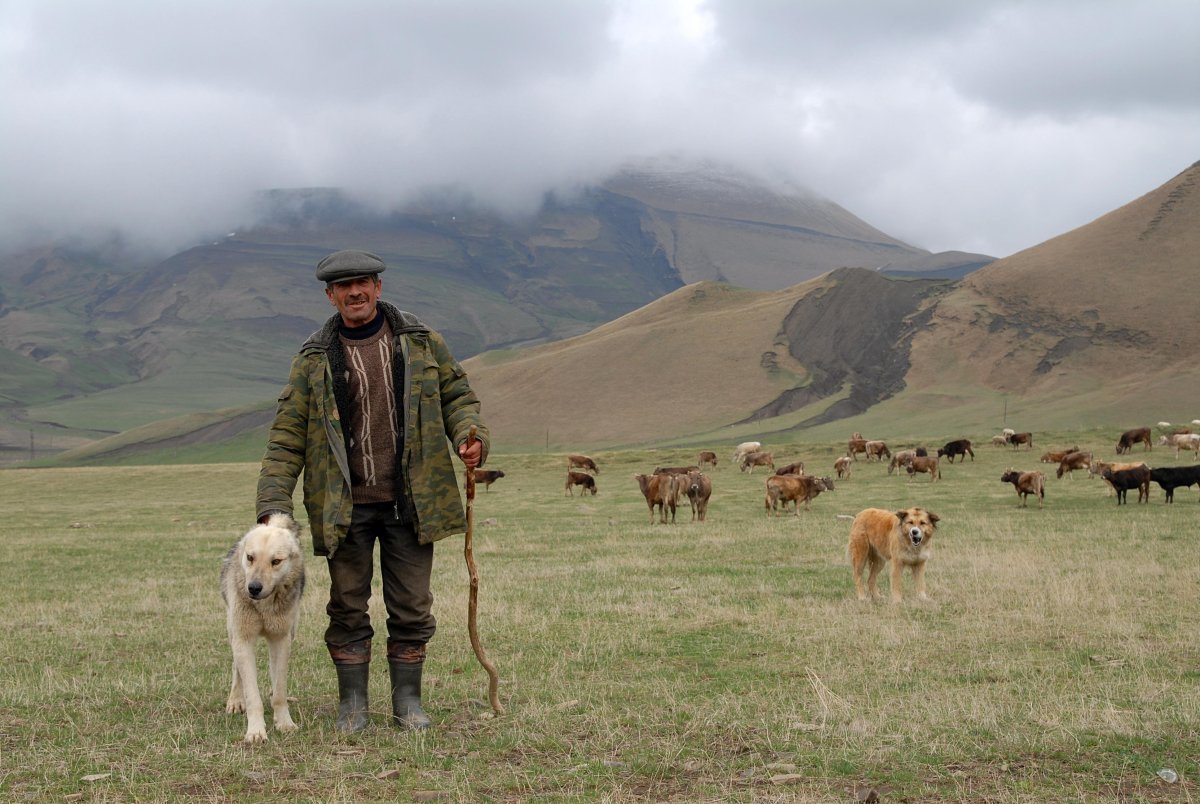 Чабан пастух Кавказ