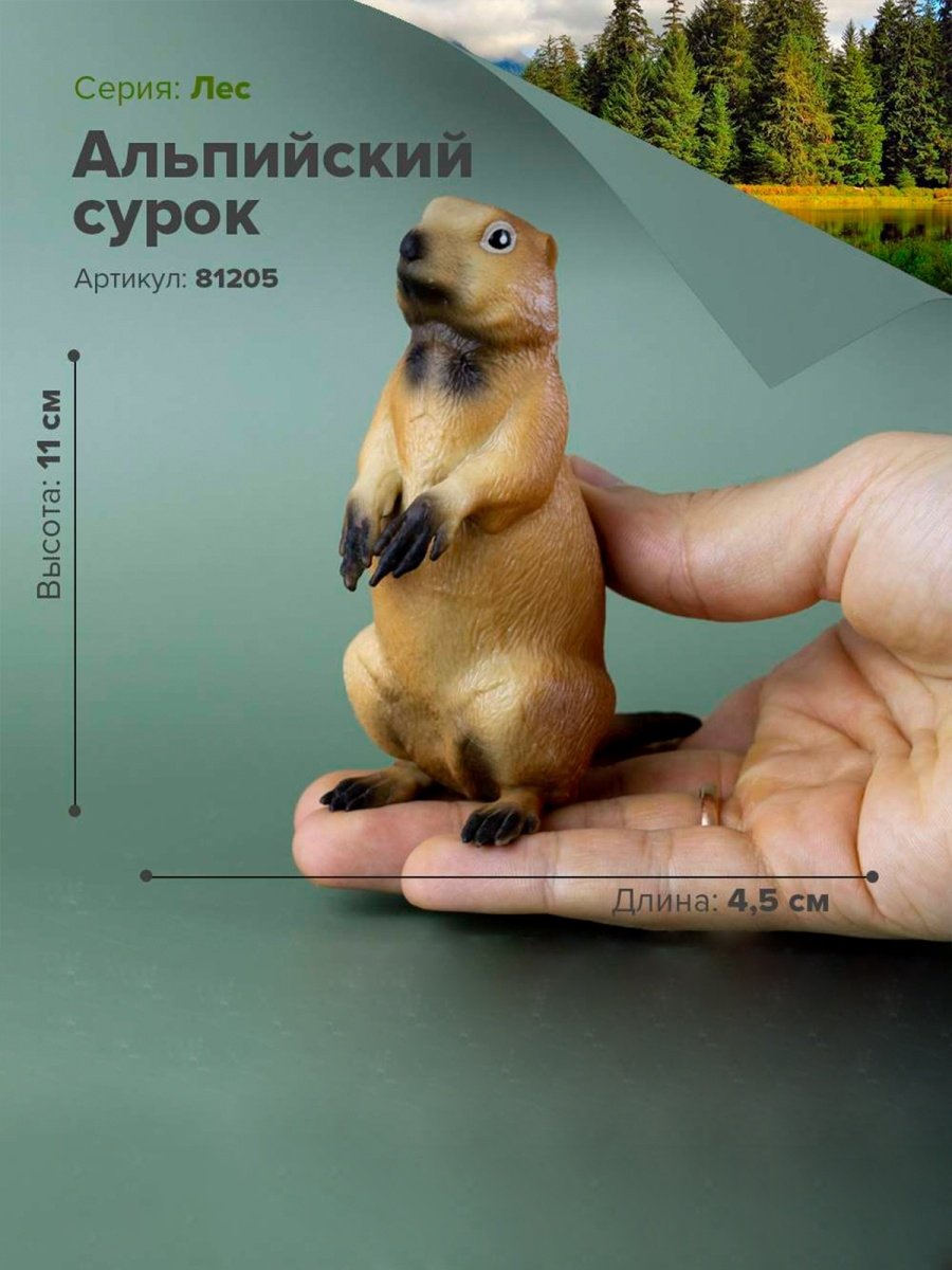 Айдахский суслик