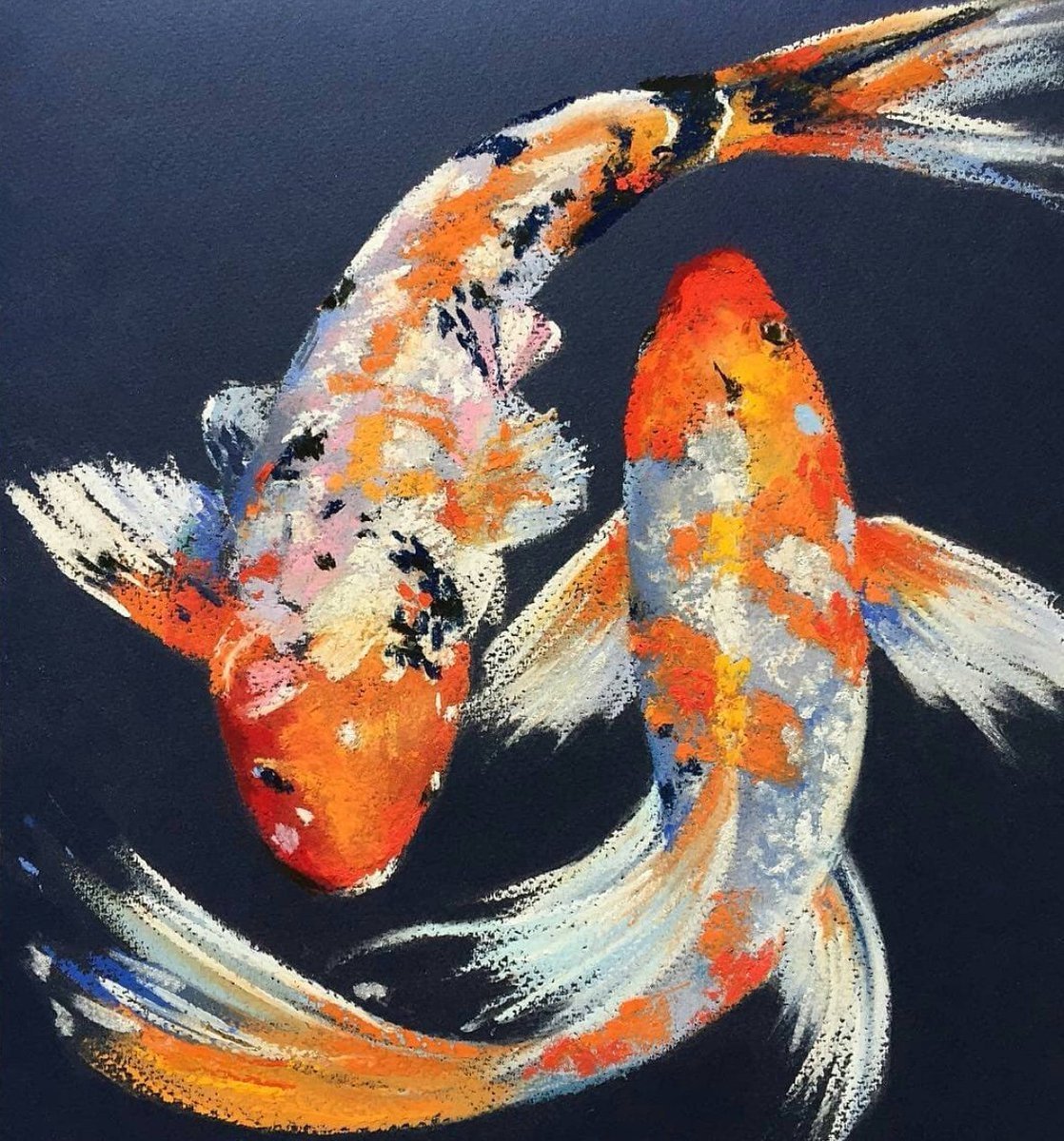 Рыба крылатка Зебра