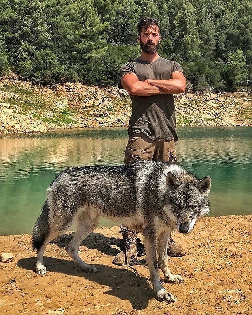 Волкособ и волкодав