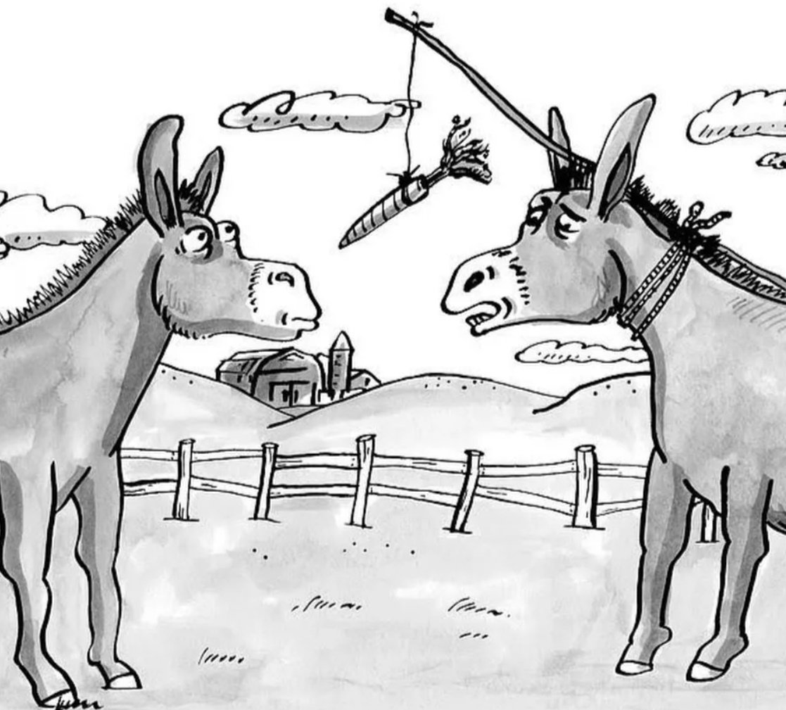 Осел в очках