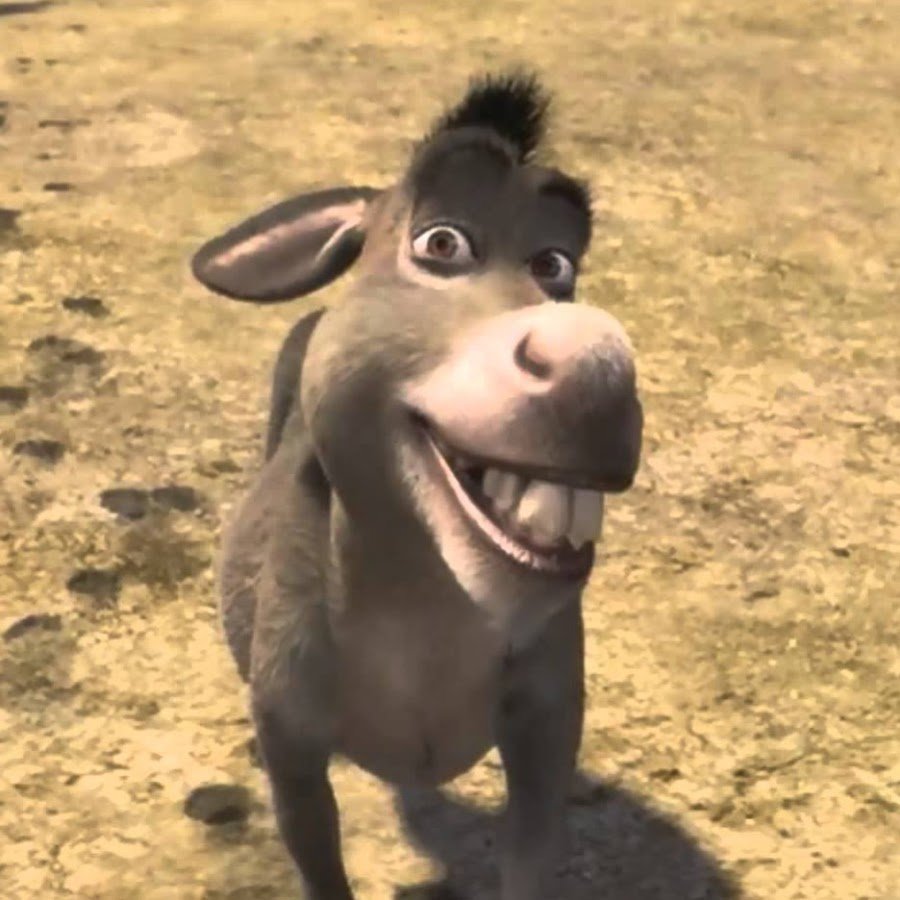 Ишак прикол