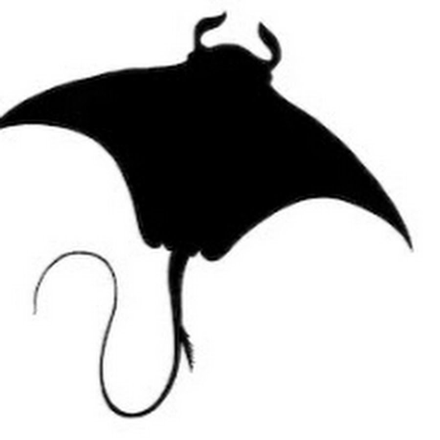 Скат вектор