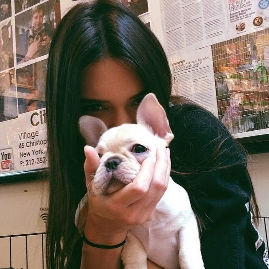 Шапочка для собаки