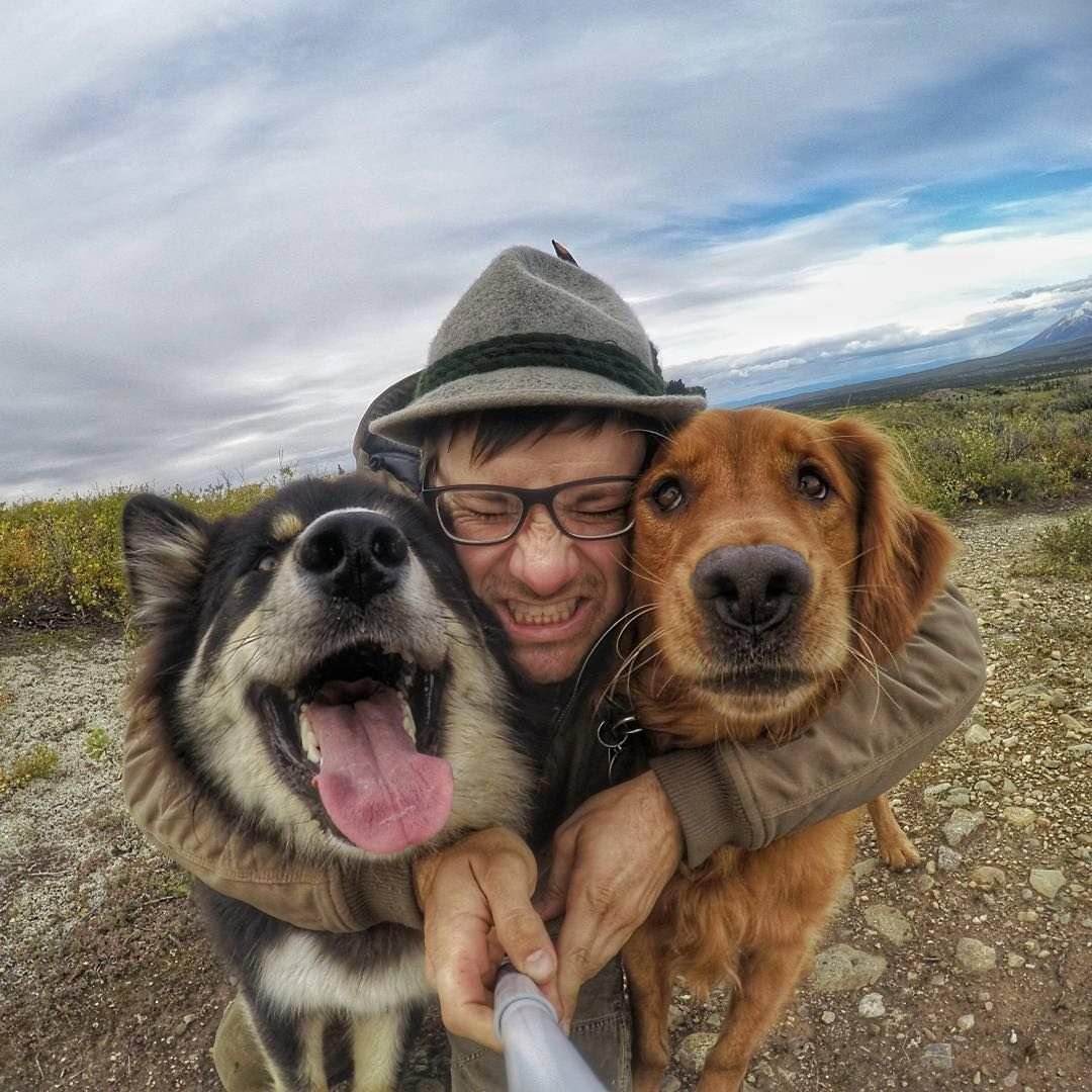 ОФФНИКИ С бультерьером