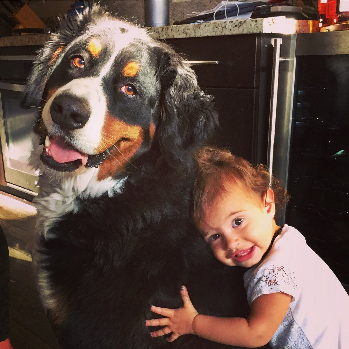 Смешные парные аватарки