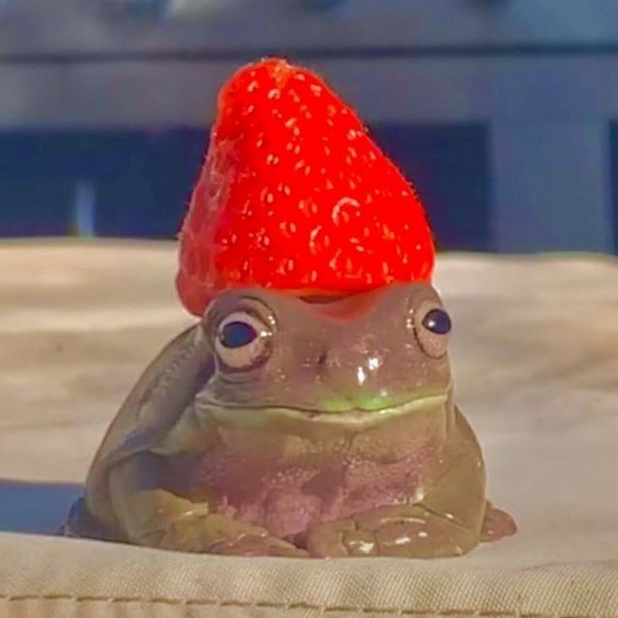 Жабка с клубникой на голове