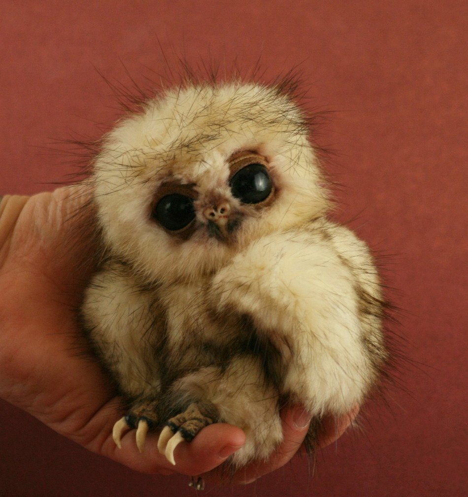 Милый Совенок