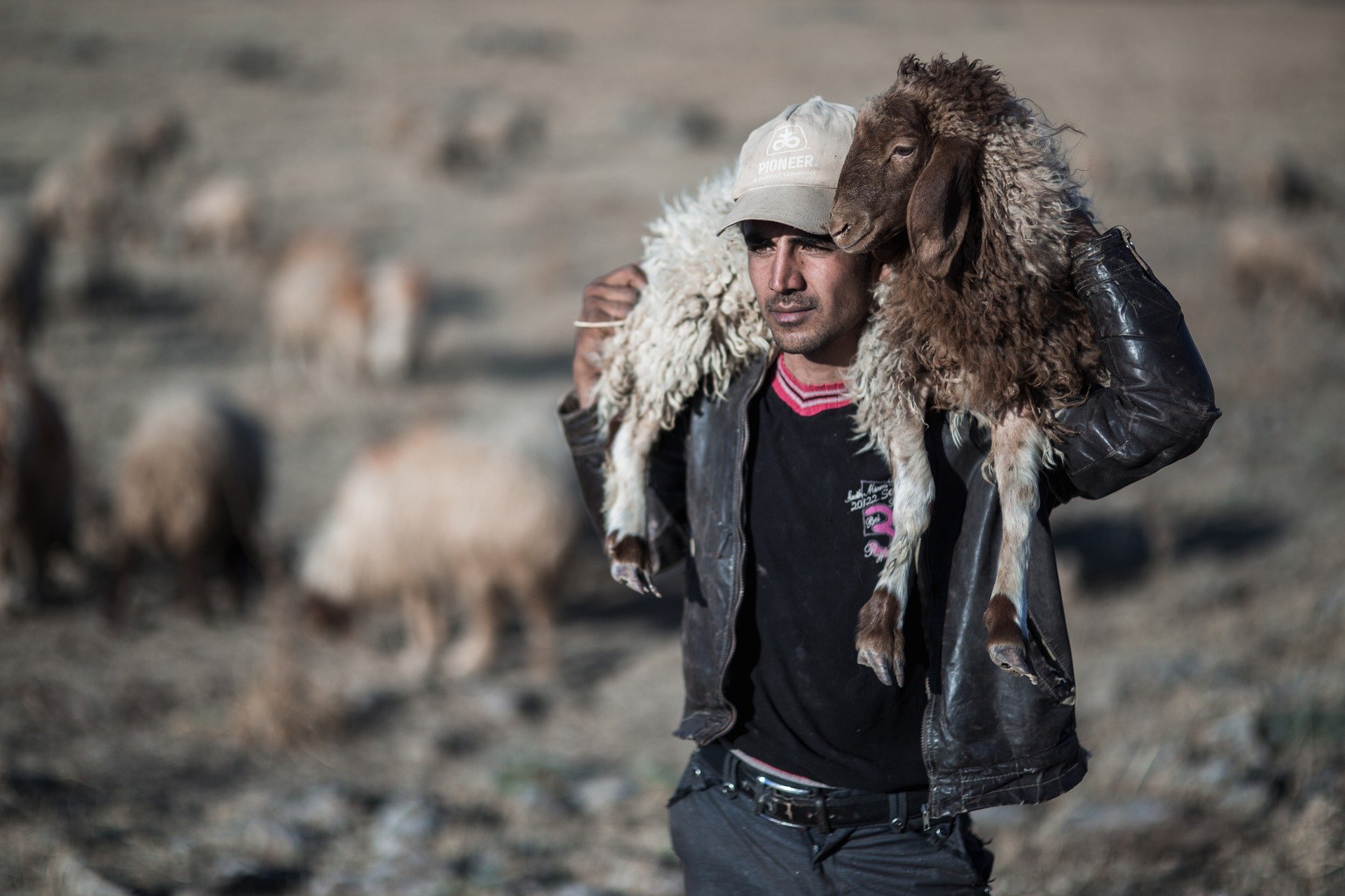 Люди ягнята. Чобан пастух. Человек овца. Фотосессия с баранами. Молодой пастух.