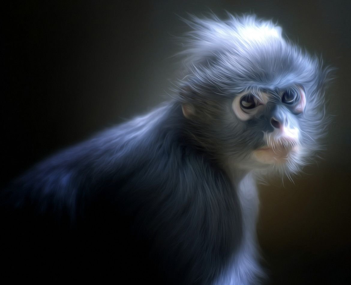 Обезьяна с синяя фараон