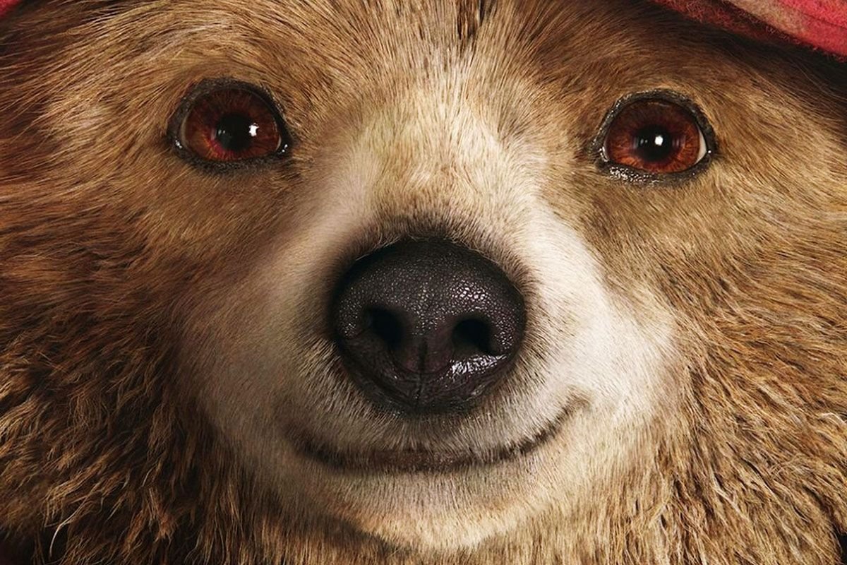 Глаза животных