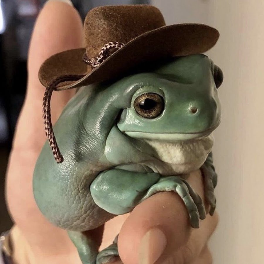 Лягушка в шляпке