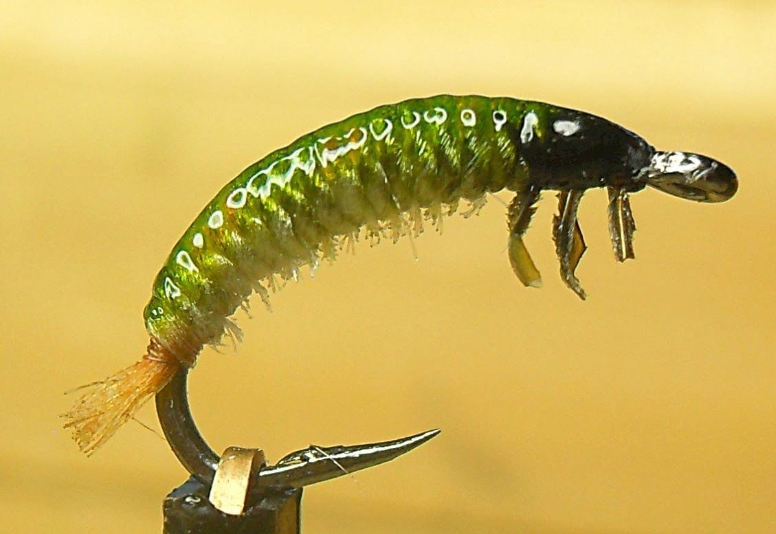 Мушка личинка поденки