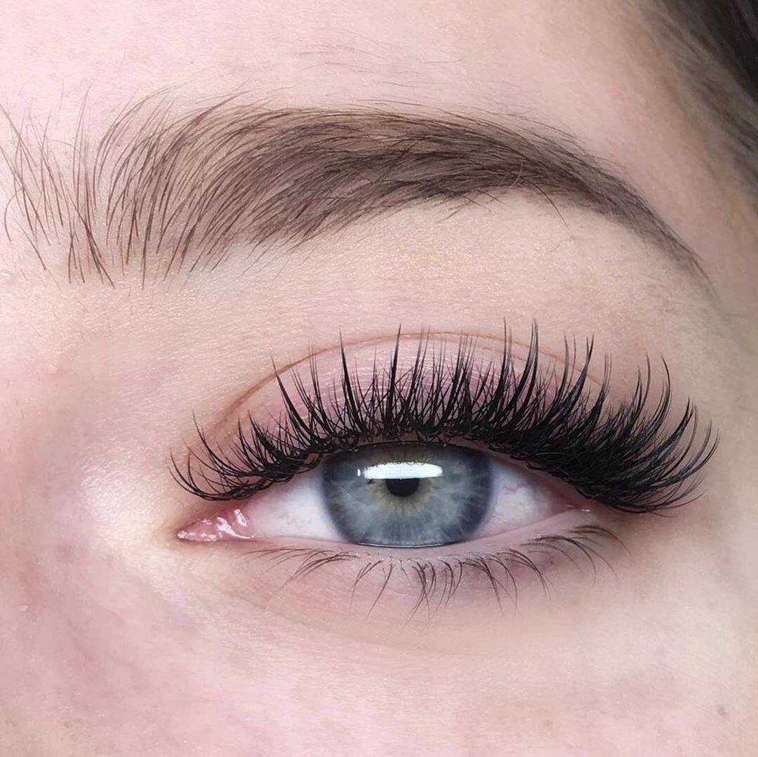 Земная белка