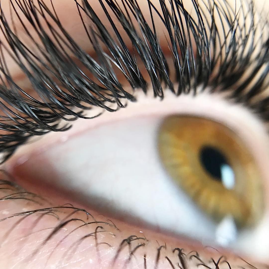 Ресницы Макросъемка