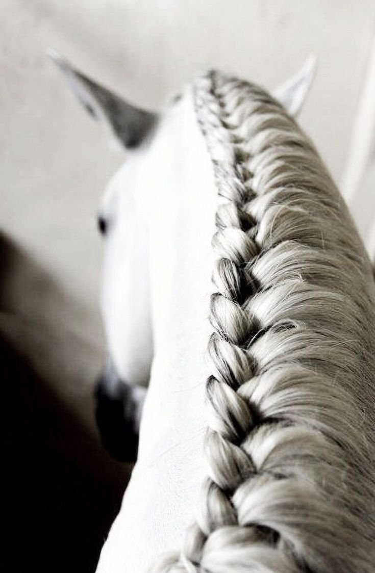 Коса с гривой