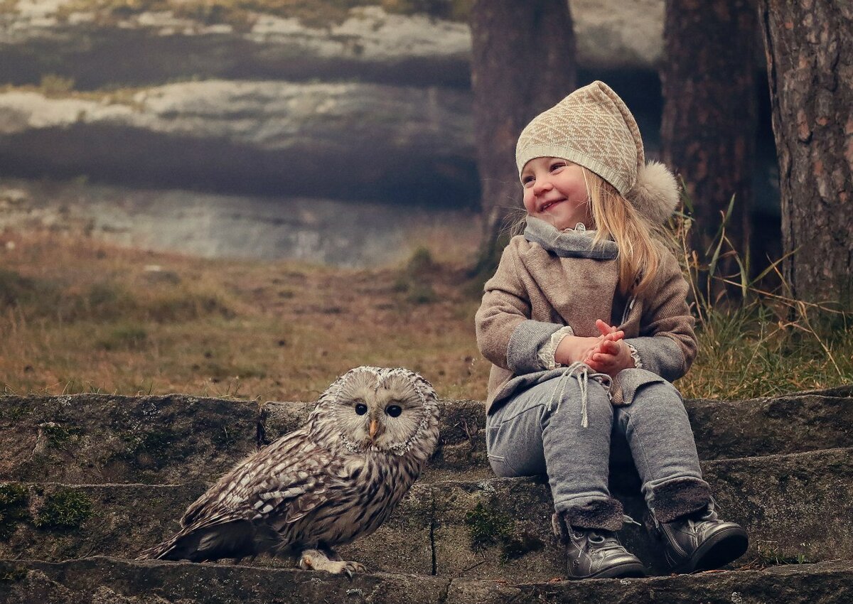 Птицы зимой в лесу