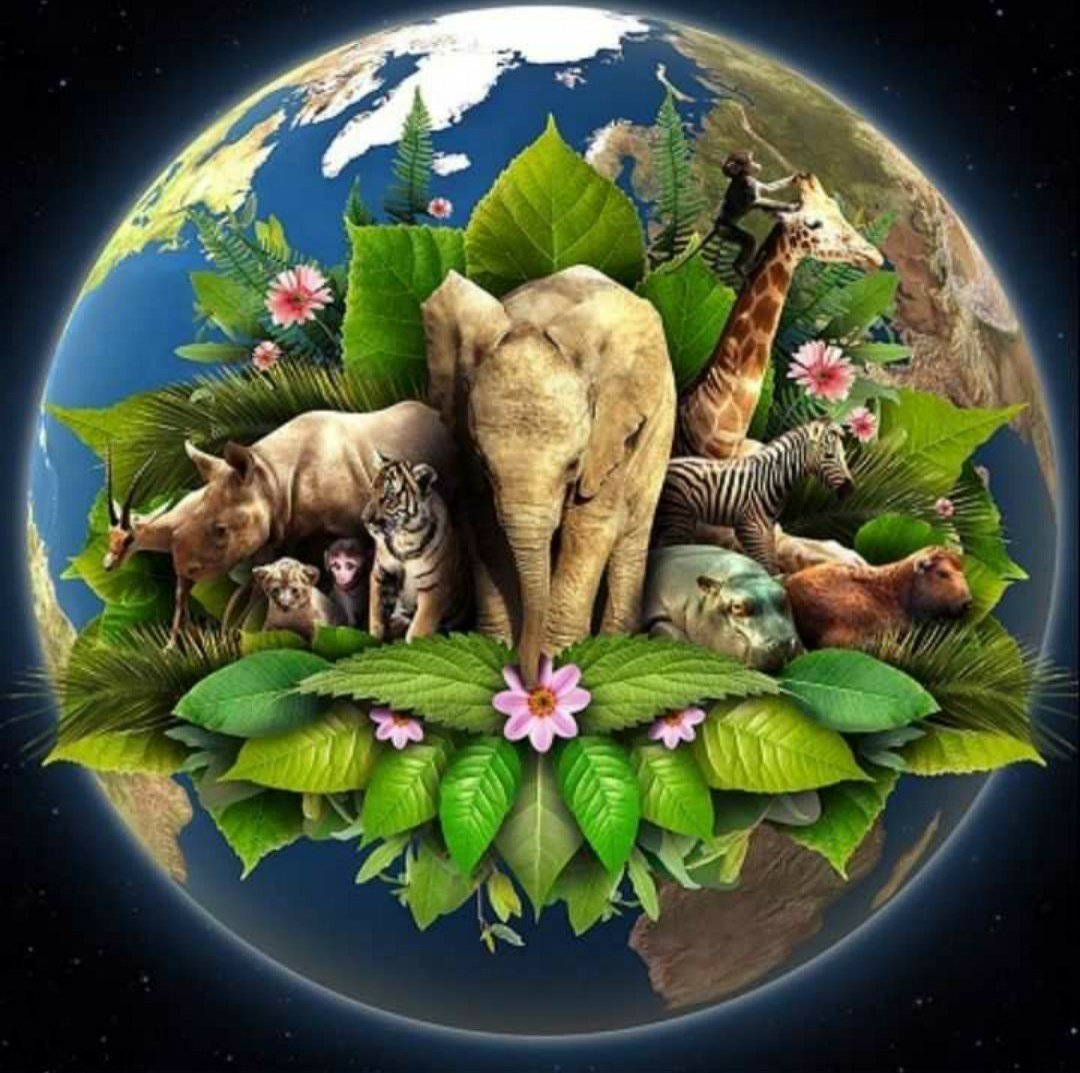 Зеленая Планета 2021