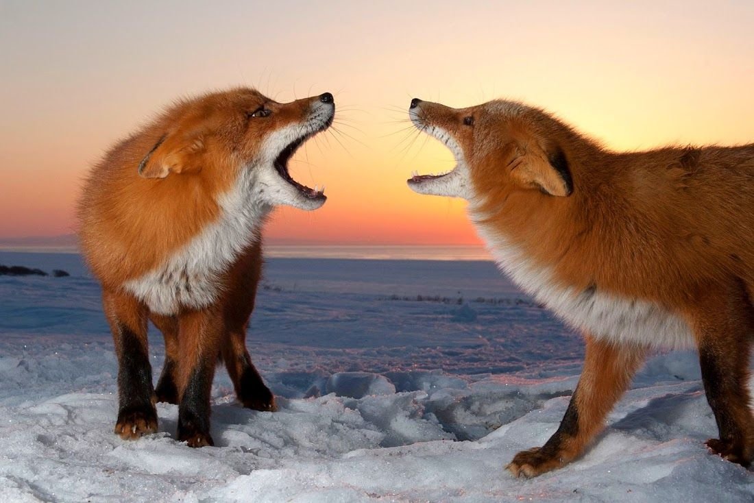 Сергей горшков объятия