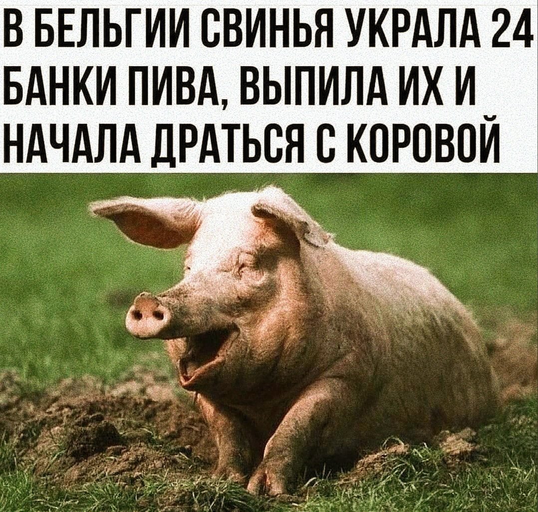 Хрюшка в ванной