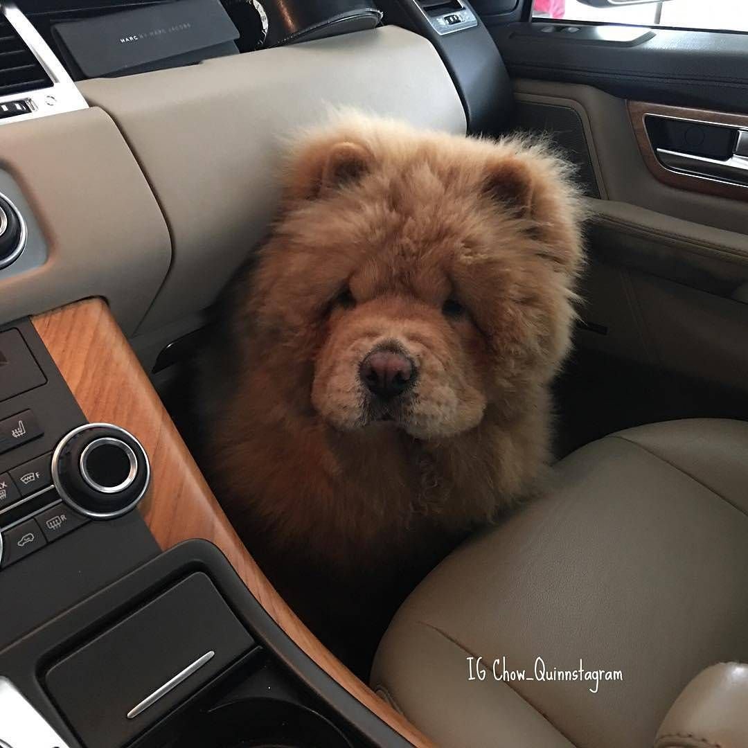 Необычная Дружба