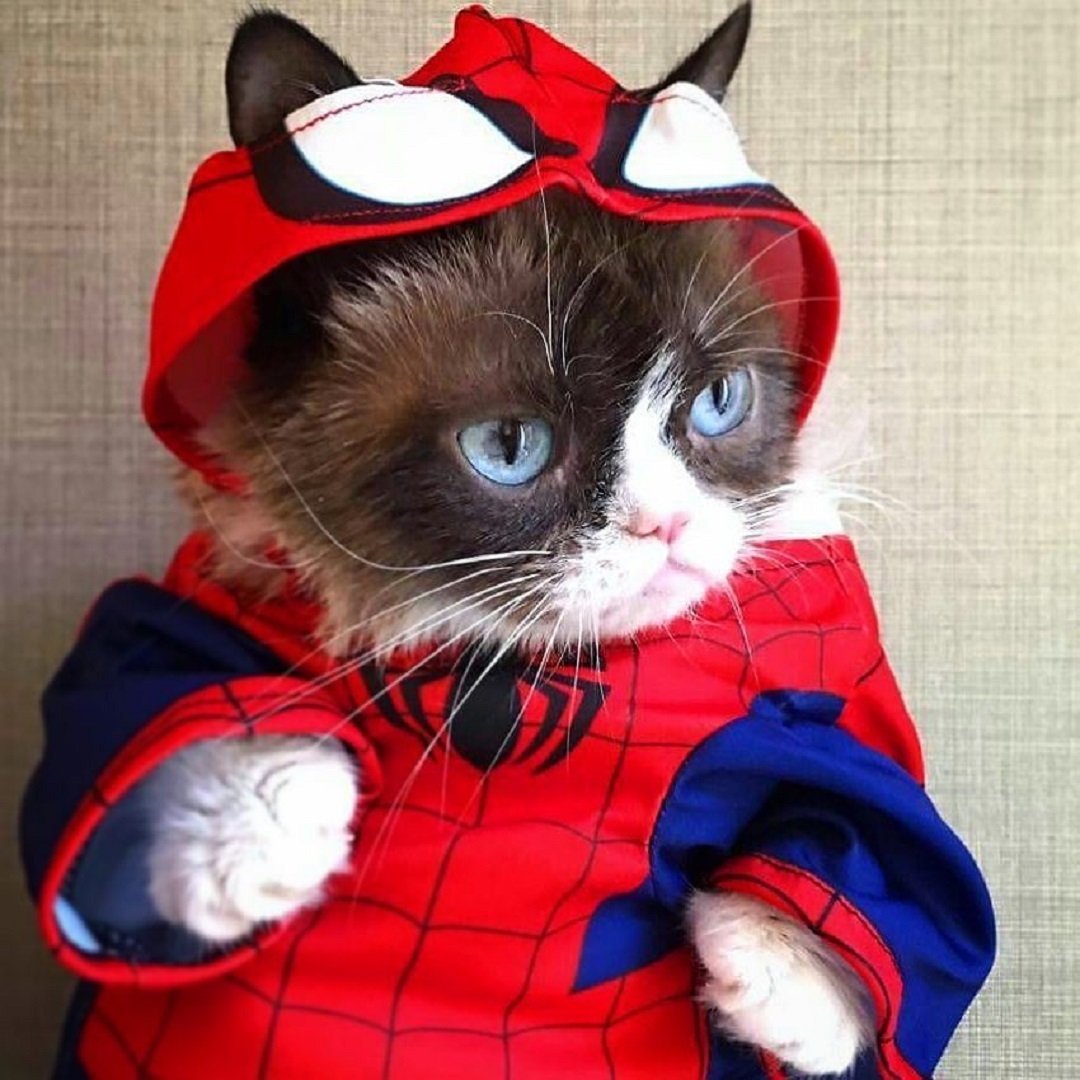 Костюм кошки