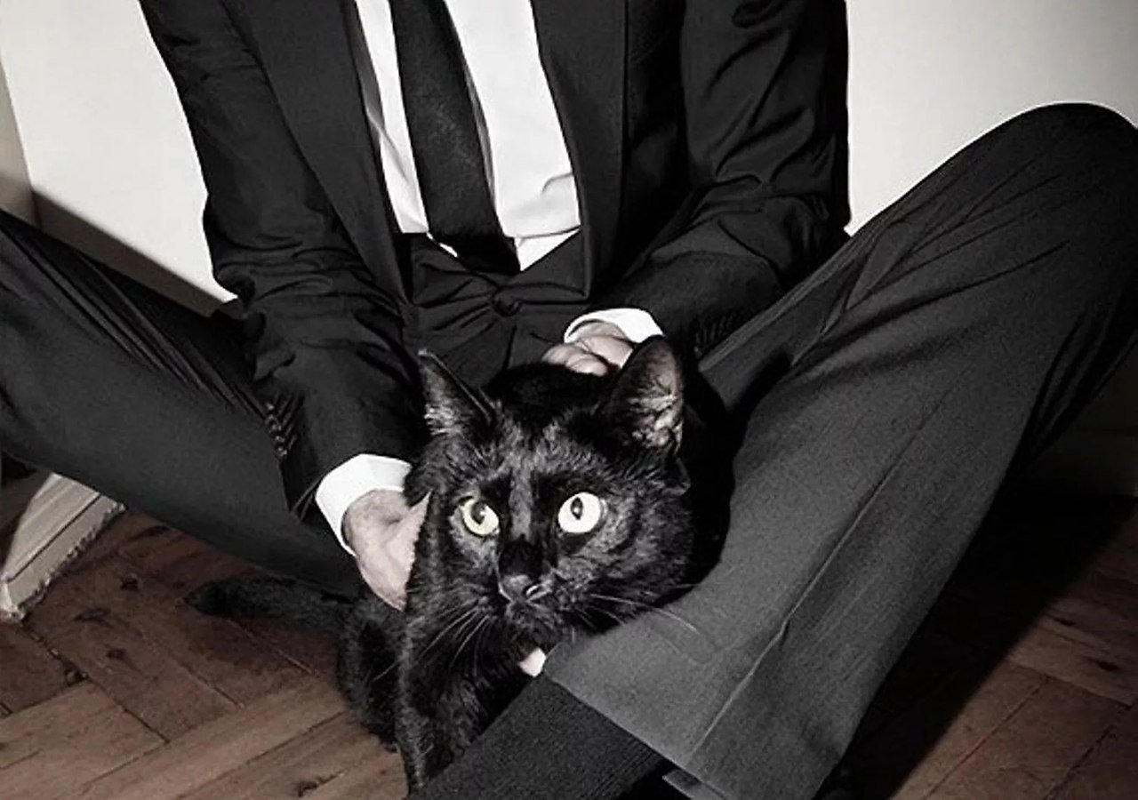 Кот джентльмен. Парень с черной кошкой. Кот в пиджаке и галстуке. Мужчина и черная кошка.