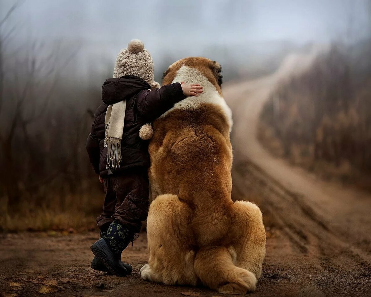 Медведь и собака
