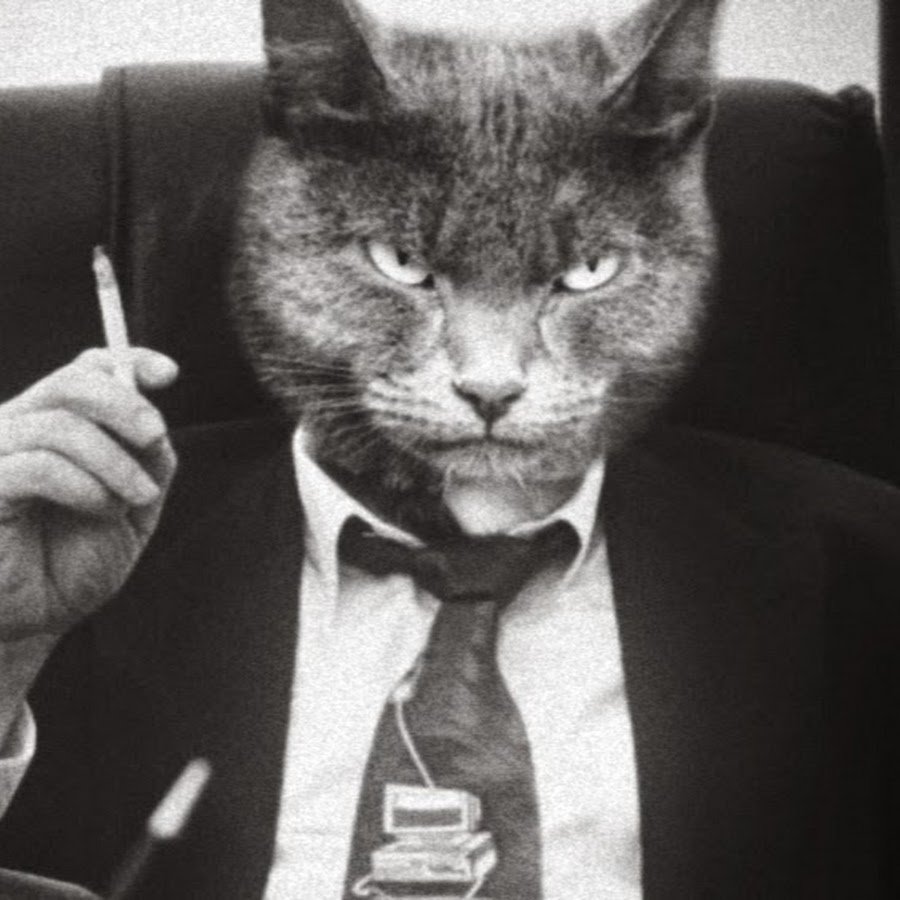 Кот с сигарой