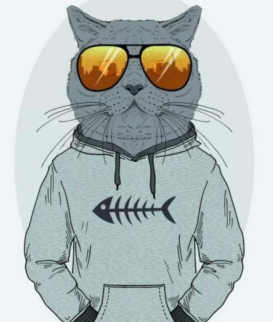 Кот в кофте