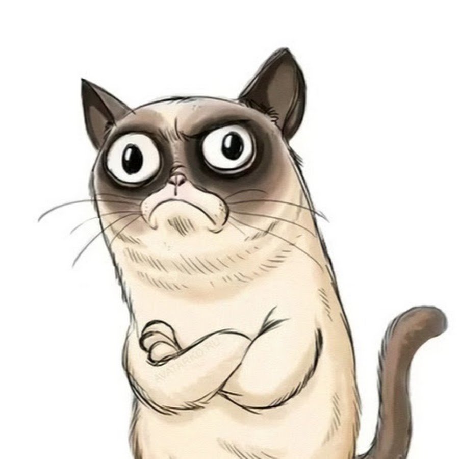 Смешные нарисованные коты