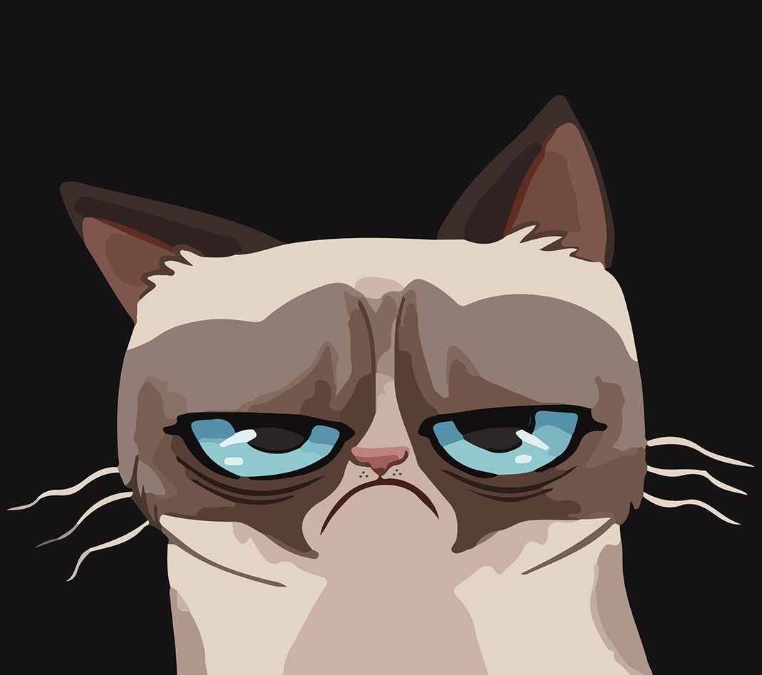 Грустный котик